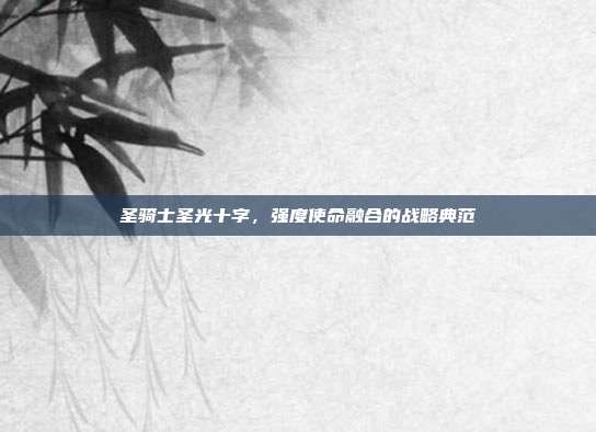 圣骑士圣光十字,强度使命融合的战略典范