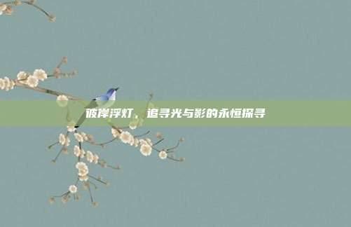 彼岸浮灯,追寻光与影的永恒探寻