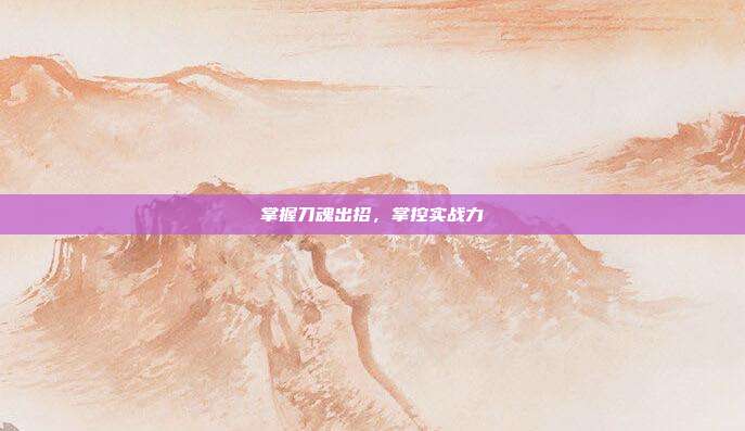 掌握刀魂出招,掌控实战力