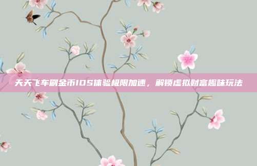 天天飞车刷金币IOS体验极限加速,解锁虚拟财富趣味玩法