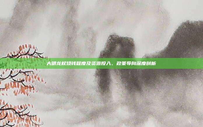 大明龙权烧钱程度及资源投入、政策导向深度剖析