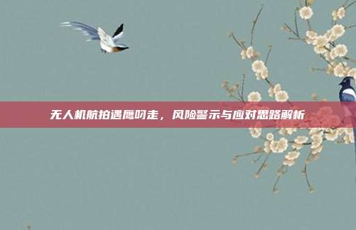 无人机航拍遇鹰叼走,风险警示与应对思路解析