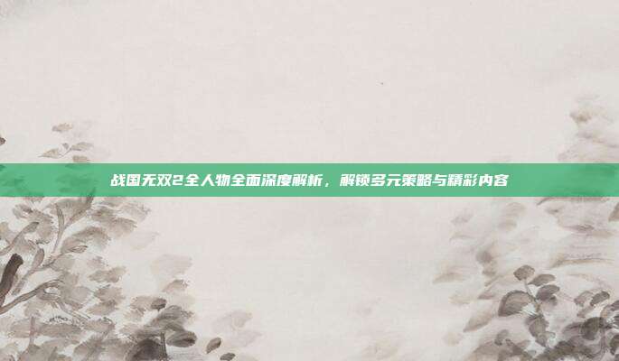 战国无双2全人物全面深度解析,解锁多元策略与精彩内容