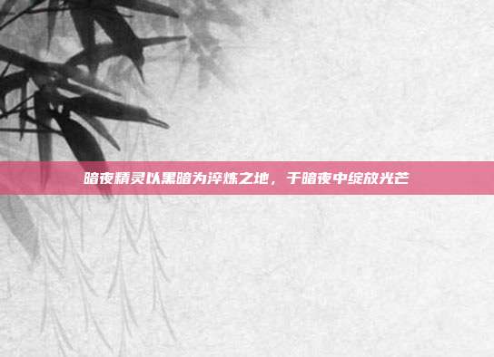 暗夜精灵以黑暗为淬炼之地,于暗夜中绽放光芒