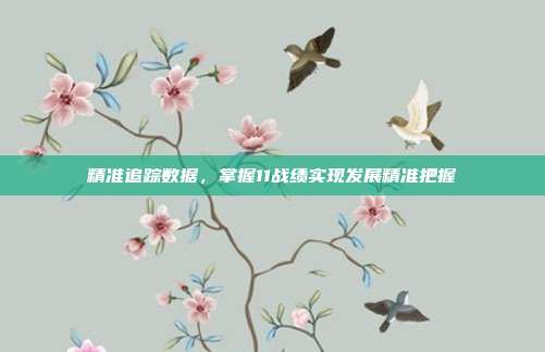 精准追踪数据,掌握11战绩实现发展精准把握