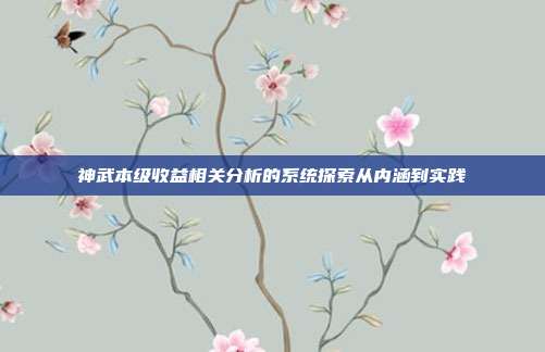 神武本级收益相关分析的系统探索从内涵到实践