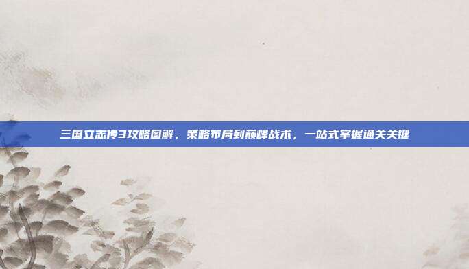 三国立志传3攻略图解,策略布局到巅峰战术,一站式掌握通关关键