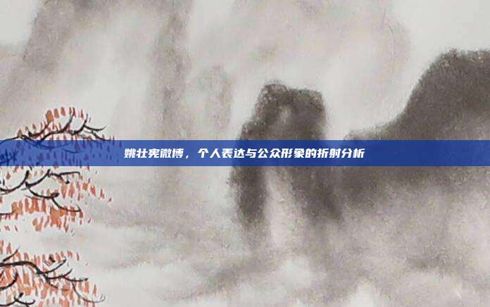 姚壮宪微博,个人表达与公众形象的折射分析