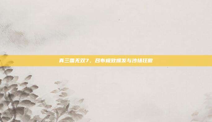 真三国无双7,吕布极致爆发与沙场狂傲