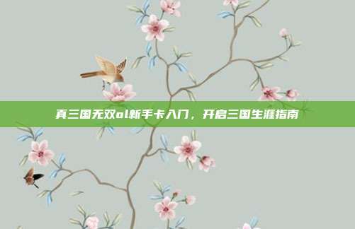 真三国无双ol新手卡入门,开启三国生涯指南