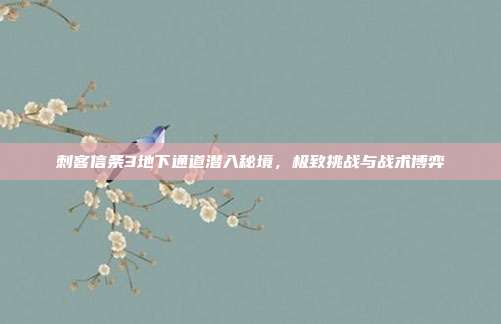 刺客信条3地下通道潜入秘境,极致挑战与战术博弈