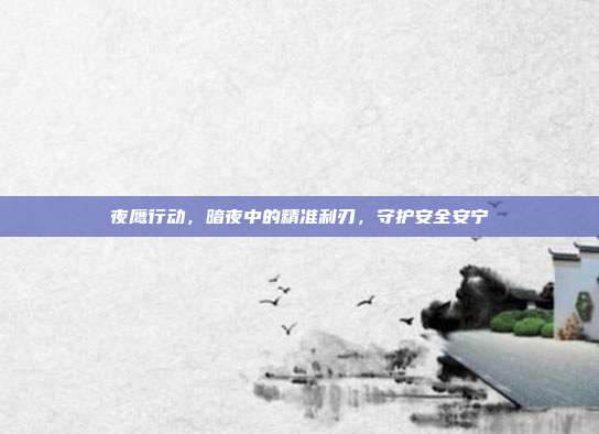 夜鹰行动,暗夜中的精准利刃,守护安全安宁