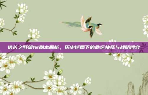 信长之野望12剧本解析,历史迷局下的命运抉择与战略博弈