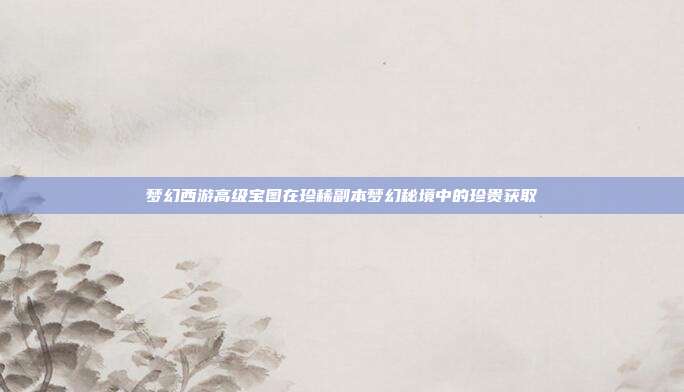 梦幻西游高级宝图在珍稀副本梦幻秘境中的珍贵获取