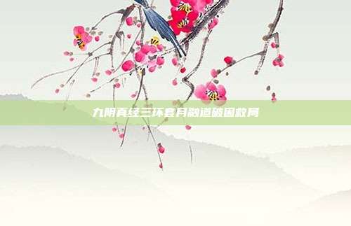 九阴真经三环套月融道破困救局