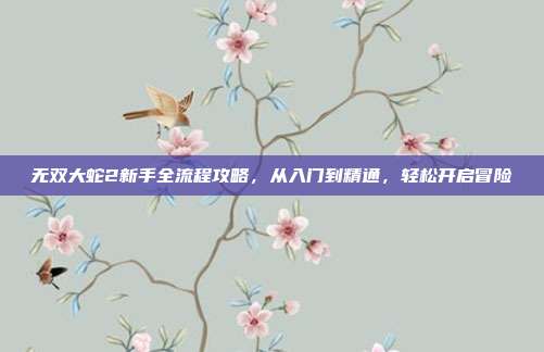 无双大蛇2新手全流程攻略,从入门到精通,轻松开启冒险