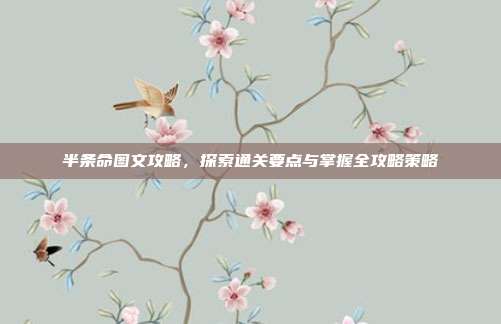 半条命图文攻略,探索通关要点与掌握全攻略策略