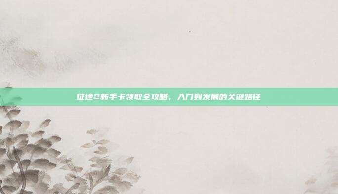 征途2新手卡领取全攻略,入门到发展的关键路径