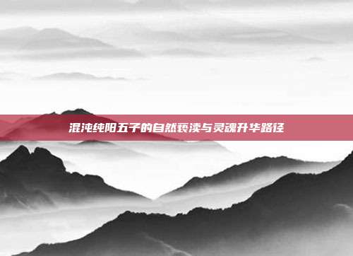 混沌纯阳五子的自然亵渎与灵魂升华路径