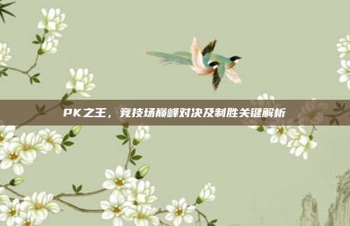 PK之王,竞技场巅峰对决及制胜关键解析