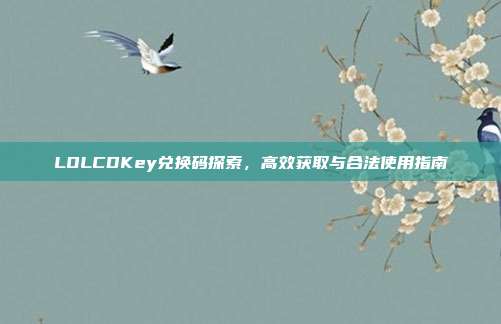 LOLCDKey兑换码探索,高效获取与合法使用指南