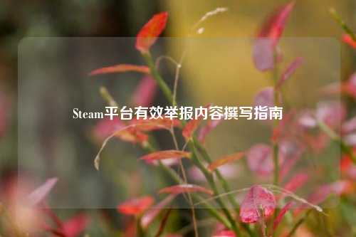 Steam平台有效举报内容撰写指南