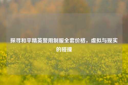 探寻和平精英警用制服全套价格，虚拟与现实的碰撞