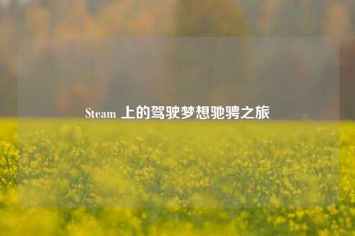 Steam 上的驾驶梦想驰骋之旅