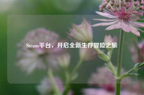 Steam平台，开启全新生存冒险之旅