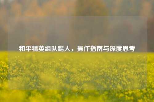 和平精英组队踢人，操作指南与深度思考