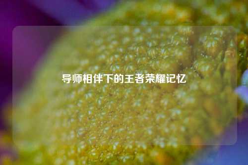 导师相伴下的王者荣耀记忆