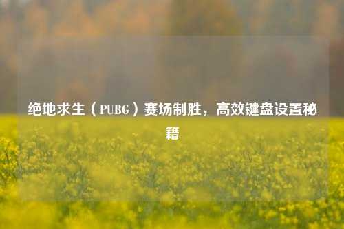 绝地求生（PUBG）赛场制胜，高效键盘设置秘籍