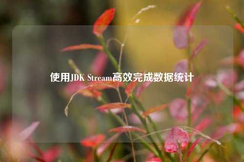使用JDK Stream高效完成数据统计