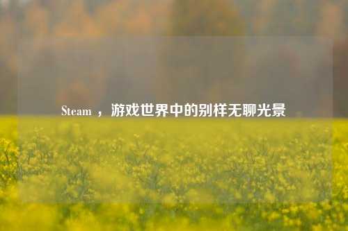 Steam ，游戏世界中的别样无聊光景