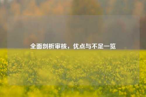 全面剖析审核,优点与不足一览