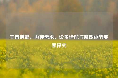 王者荣耀,内存需求、设备适配与游戏体验要素探究