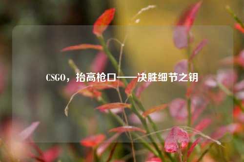 CSGO,抬高枪口——决胜细节之钥