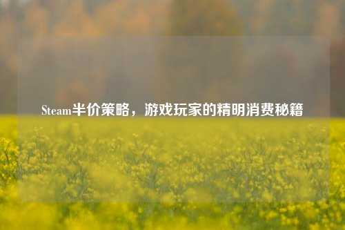 Steam半价策略,游戏玩家的精明消费秘籍