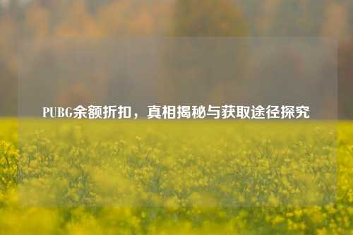 PUBG余额折扣,真相揭秘与获取途径探究