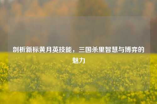剖析新标黄月英技能,三国杀里智慧与博弈的魅力