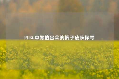 PUBG中颜值出众的裤子皮肤探寻