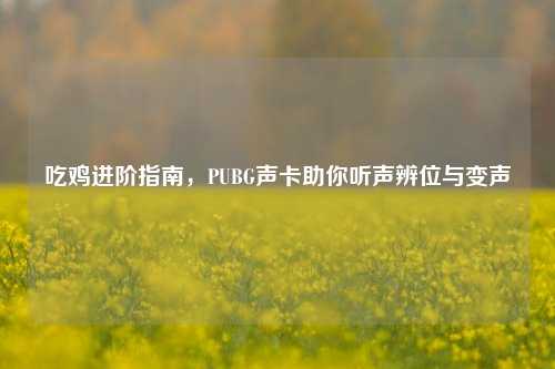 吃鸡进阶指南,PUBG声卡助你听声辨位与变声