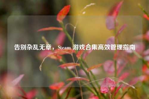 告别杂乱无章,Steam 游戏合集高效管理指南