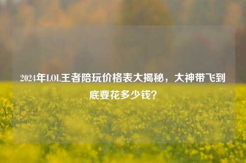 2024年LOL王者陪玩价格表大揭秘,大神带飞到底要花多少钱?