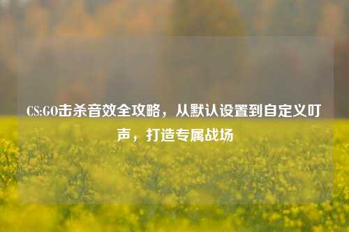CS:GO击杀音效全攻略,从默认设置到自定义叮声,打造专属战场