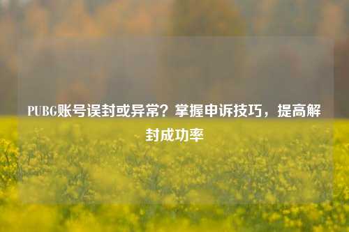 PUBG账号误封或异常?掌握申诉技巧,提高解封成功率