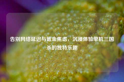 告别 *** 延迟与氪金焦虑,沉浸体验单机三国杀的独特乐趣