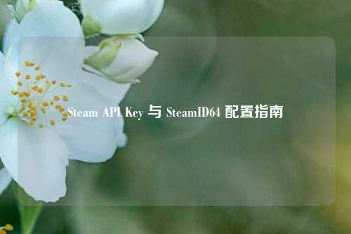 Steam API Key 与 SteamID64 配置指南