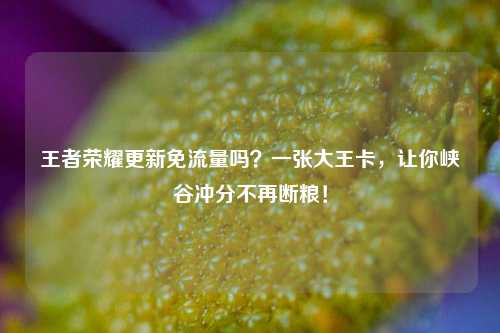 王者荣耀更新免流量吗?一张大王卡,让你峡谷冲分不再断粮!