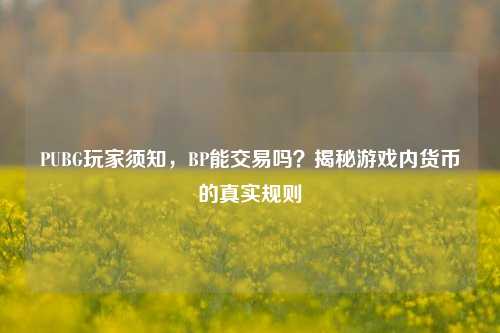 PUBG玩家须知,BP能交易吗?揭秘游戏内货币的真实规则